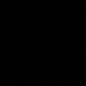 Meet your Posher, Freddy